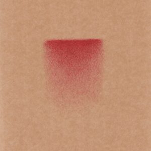 Coulée vive, 2025