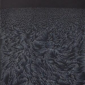 Un jardin la nuit, 2024